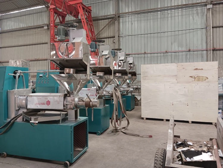 Automatic Oil Press Machine with Control Automatic Oil Press Machine with Control