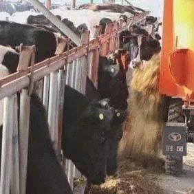 TMR feed mixer (2)